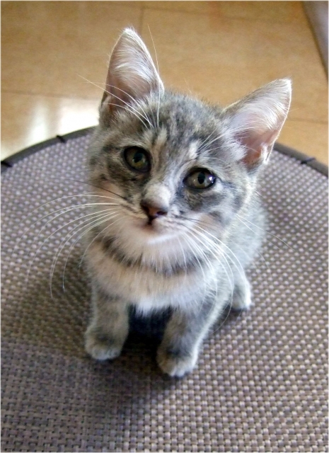 e77561c5ec44300cfbd1cba5cf430dec_s