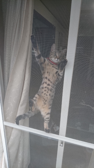 422c287dd115ff718d5786b7e963fa7a_s