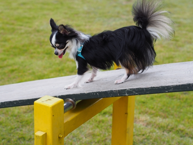 acb44c872dc4d28ba8d64f0e41bcd210_s