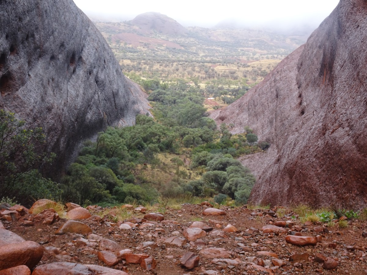 カタジュタで未来への扉が開いた